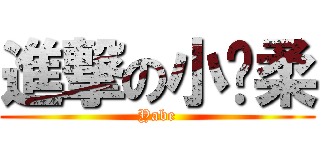 進撃の小溫柔 (Yabe)
