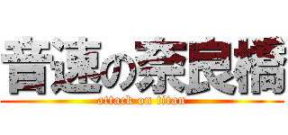 音速の奈良橋 (attack on titan)