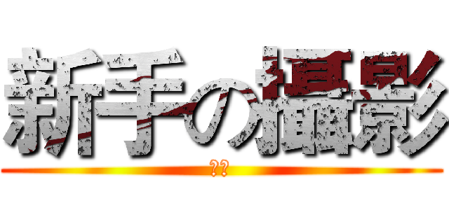 新手の攝影 (阿肥)