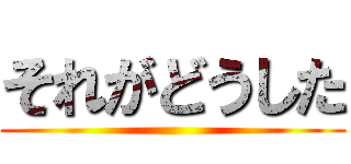 それがどうした ()