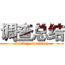 调查总结 (Survey summary)