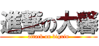 進撃の大馨 (attack on bigxin)