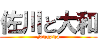 佐川と大和 (sawgawa)