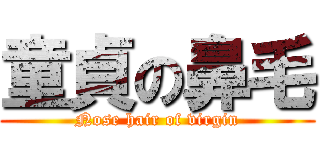 童貞の鼻毛 (Nose hair of virgin)