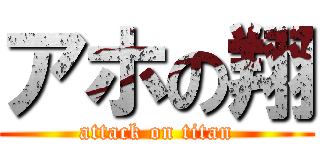 アホの翔 (attack on titan)