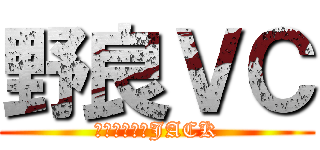 野良ＶＣ (お前らの耳をJACK)