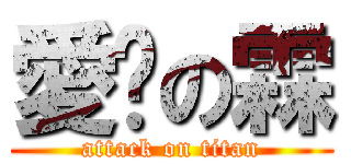 愛婷の霖 (attack on titan)