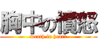 胸中の憤怒 (wrath in heart)