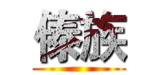 傣族 ()