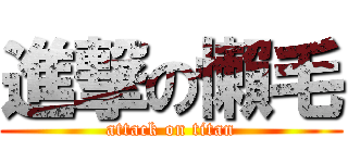 進撃の懶毛 (attack on titan)