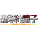 進撃的瘋子 (attack on titan)