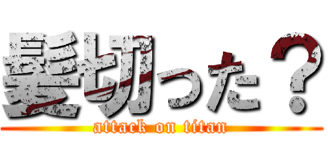 髪切った？ (attack on titan)