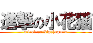 進撃の小花猫 (attack on Xiaohuamao)