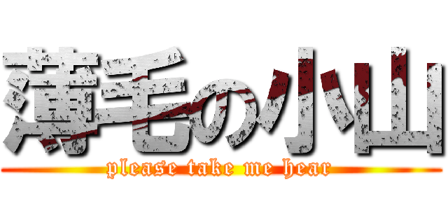 薄毛の小山 (please take me hear)