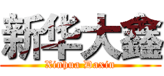 新华大鑫 (Xinhua Daxin)