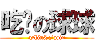 吃货の球球 (ashin&qiuqiu)