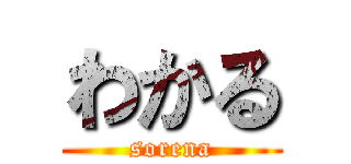 わかる (sorena)