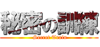 秘密の訓練 ( Secret Train)