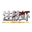 注胶虾 (shrimp)