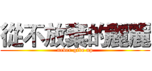 從不放棄的麗麗 (never give up)