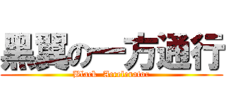 黑翼の一方通行 (Black  Accelerator)