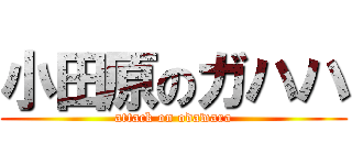 小田原のガハハ (attack on odawara)