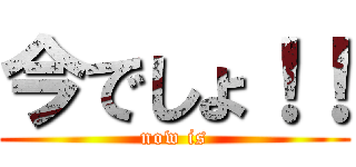 今でしょ！！ (now is)