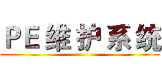 ＰＥ 维 护 系 统 ()