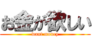 お金が欲しい (want money)