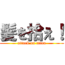 髪を拾え！ (attack on titan)