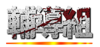 輔導組 ()