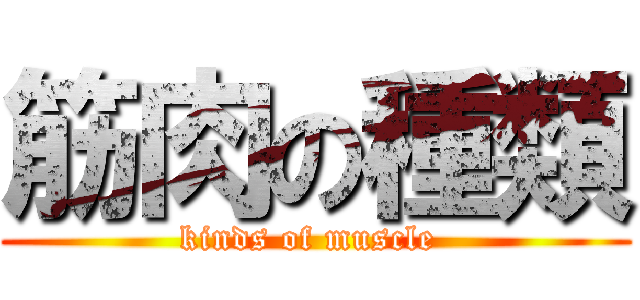 筋肉の種類 (kinds of muscle )