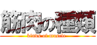 筋肉の種類 (kinds of muscle )