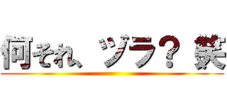 何それ、ヅラ？（笑 ()