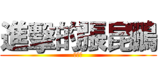 進擊的張昆鵬 (张昆鹏)