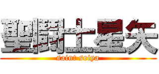 聖鬪士星矢 (saint seiya)