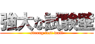 強大な試験壁 (strong test wall)