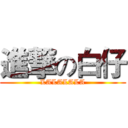 進撃の白仔 (LALALALA)