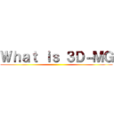 Ｗｈａｔ ｉｓ ３Ｄ－ＭＧ ()