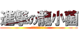 進撃の龍小菌 (龍縂要在風雨中出現!)