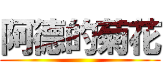 阿德的菊花 ()
