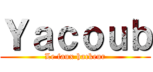 Ｙａｃｏｕｂ (Le faux hackeur)