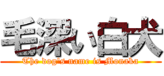 毛深い白犬 (The dog's name is Monaka)