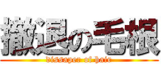 撤退の毛根 (dissaper of hair)