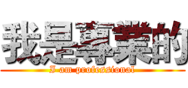 我是專業的 (I am professional)