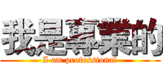 我是專業的 (I am professional)