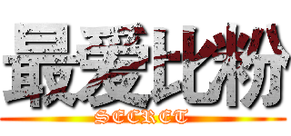最爱比粉 (SECRET)