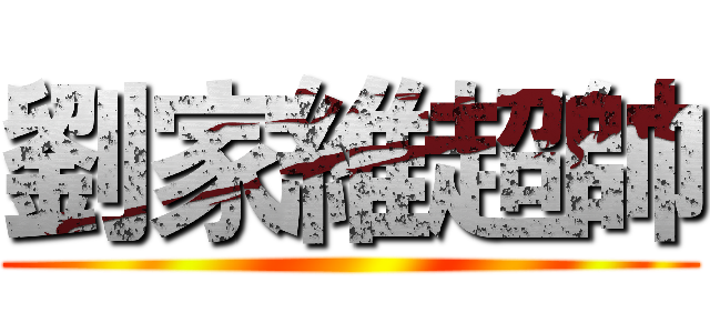 劉家維超帥 ()