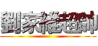 劉家維超帥 ()
