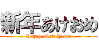 新年あけおめ (Happy New Year!)